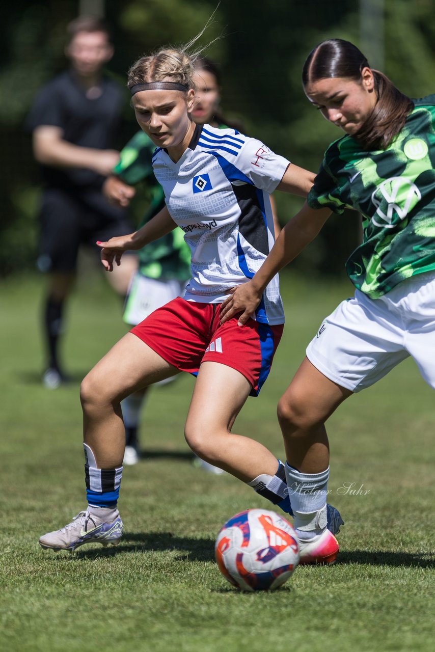Bild 156 - wBJ Hamburger SV - VfL Wolfsburg : Ergebnis: 5:1